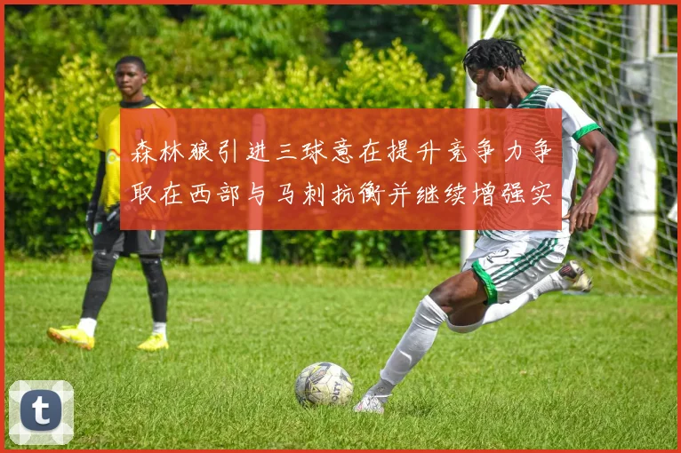 森林狼引进三球意在提升竞争力争取在西部与马刺抗衡并继续增强实力