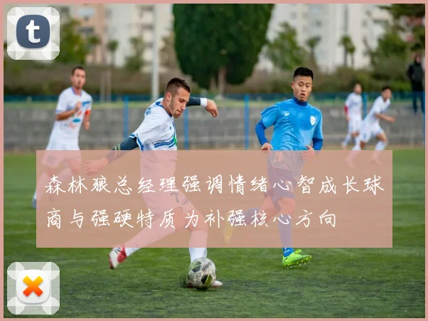森林狼总经理强调情绪心智成长球商与强硬特质为补强核心方向
