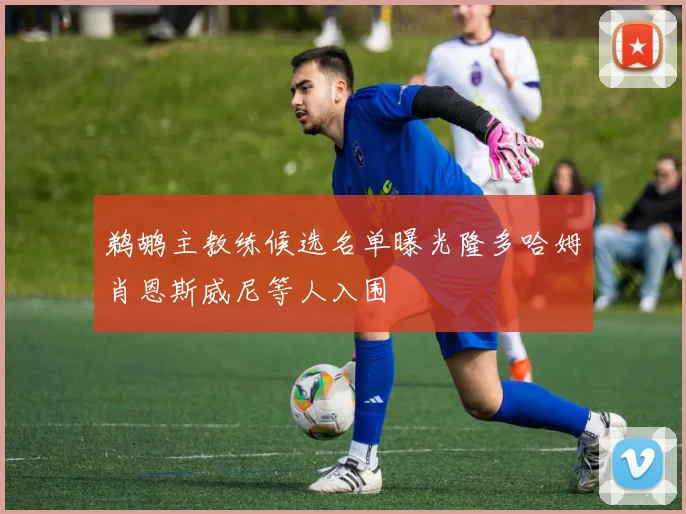 鹈鹕主教练候选名单曝光隆多哈姆肖恩斯威尼等人入围